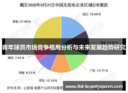 青年球员市场竞争格局分析与未来发展趋势研究